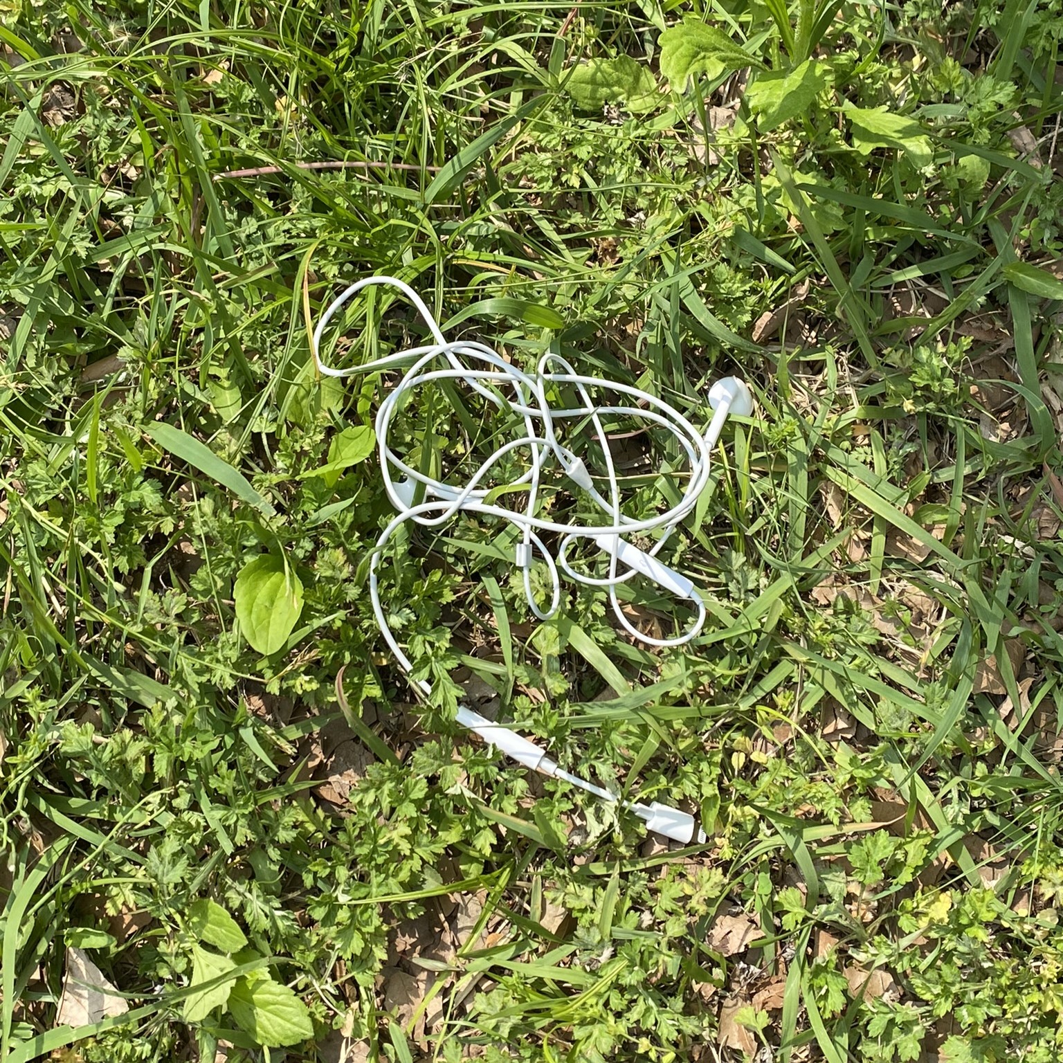 earbuds